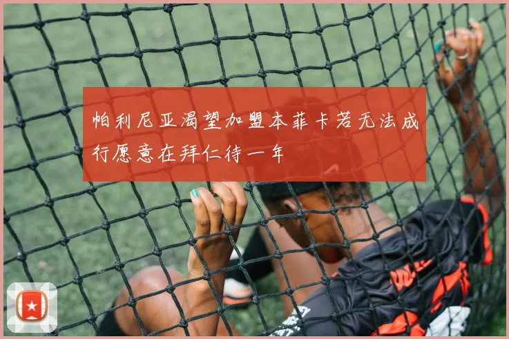帕利尼亚渴望加盟本菲卡若无法成行愿意在拜仁待一年