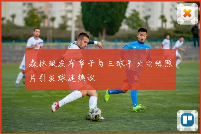 森林狼发布华子与三球平头合练照片引发球迷热议