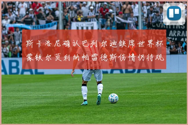 斯卡洛尼确认巴列尔迪缺席世界杯蒙铁尔莫利纳帕雷德斯伤情仍待观察