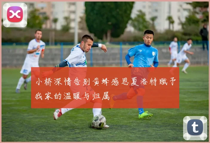 小桥深情告别黄蜂感恩夏洛特赋予我家的温暖与归属