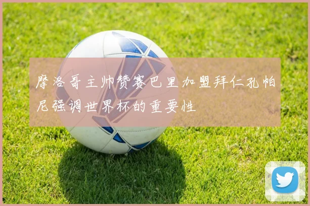 摩洛哥主帅赞赛巴里加盟拜仁孔帕尼强调世界杯的重要性